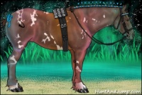 Horse Color:White Spotted Liver Chestnut 