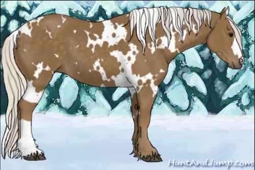 Horse Color:White Spotted Silver Smoky Black 