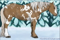 Horse Color:White Spotted Silver Smoky Black 