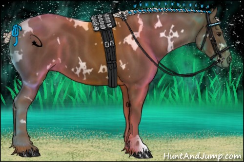 Horse Color:White Spotted Silver Smoky Black 