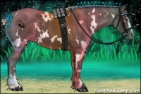 Horse Color:White Spotted Silver Black Sabino 