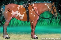 Horse Color:White Spotted Silver Bay 
