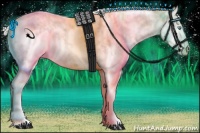 Horse Color:Cremello Sabino