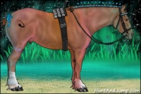 Horse Color:Chestnut Sabino Tobiano