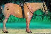 Horse Color:White Spotted Palomino