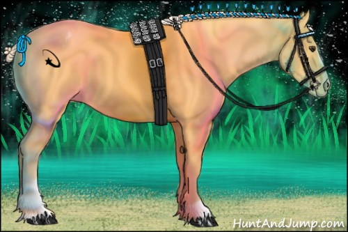 Horse Color:Palomino Sabino Appaloosa 