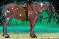 Horse Color:White Spotted Liver Chestnut Sabino