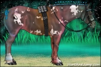 Horse Color:White Spotted Liver Chestnut 