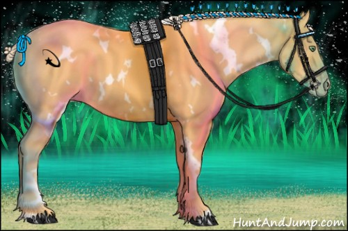 Horse Color:White Spotted Gold Cream Champagne 