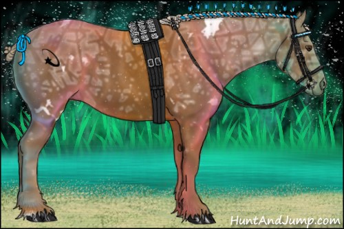 Horse Color:White Spotted Chocolate Palomino Ice Sabino