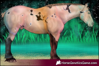 Horse Color:White Spotted Gold Champagne Pearl Tobiano