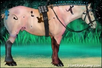 Horse Color:White Spotted Gold Champagne Pearl Tobiano