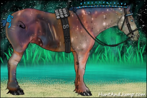 Horse Color:ERROR: UNKNOWN ANOMALY