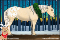 Horse Color:Palomino Appaloosa 