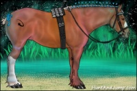 Horse Color:Silver Bay 