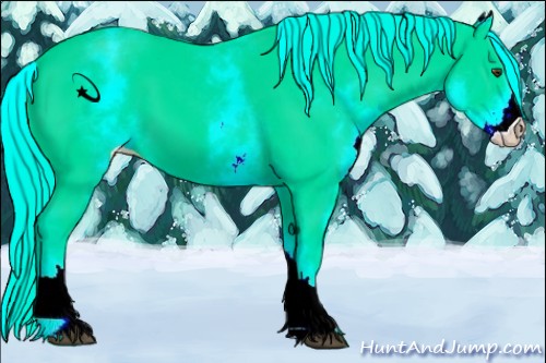 Horse Color:White Spotted Palomino 