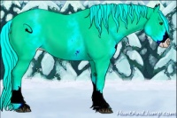 Horse Color:White Spotted Palomino