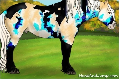 Horse Color:White Spotted Palomino Tobiano 