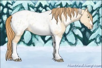 Horse Color:Gold Champagne Dun Tobiano Frame Appaloosa 