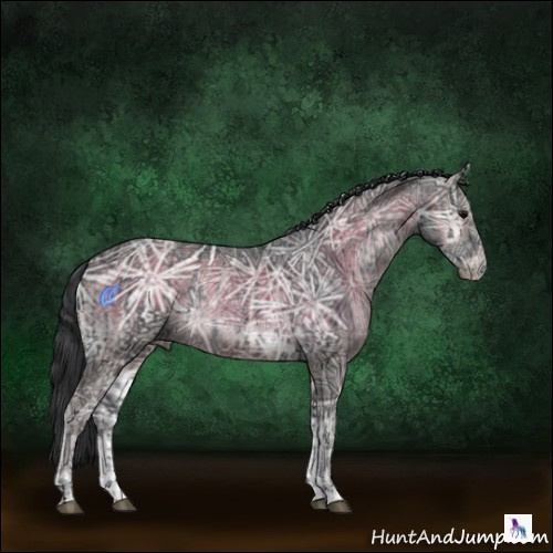 Horse Color:Void Black Ice  and Blue Onyx Ice 