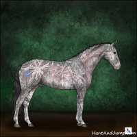 Horse Color:Void Black Ice  and Blue Onyx Ice 