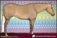 Horse Color:Silver Buckskin Dun Tobiano Rabicano
