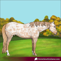 Horse Color:Red Ice Roan