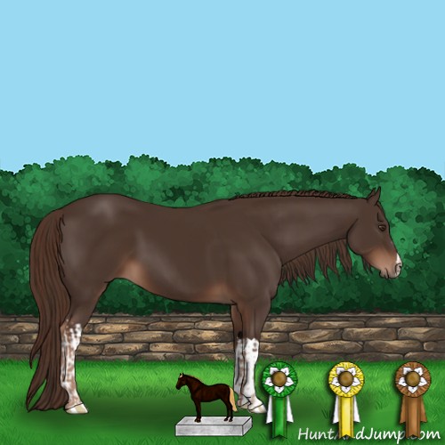 Horse Color:Liver Chestnut  and Liver Chestnut 