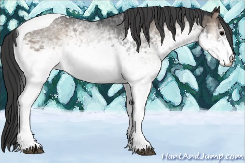 Horse Color:White Spotted Blue Onyx Tobiano Rabicano