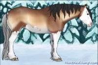 Horse Color:Bay Roan Onyx Splash 