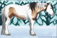 Horse Color:Bay Onyx Splash Tobiano 