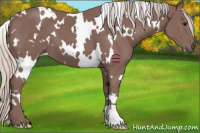 Horse Color:White Spotted Chocolate Silver Black 