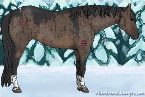 Horse Color:Brown Dun Tobiano Brindle 