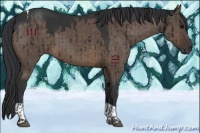 Horse Color:Brown Dun Tobiano Brindle 