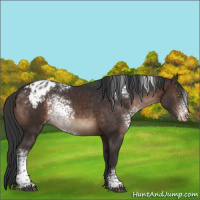 Horse Color:White Spotted Brown Varnish 