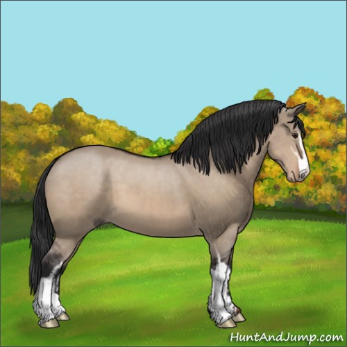 Horse Color:Brown Dun Sabino