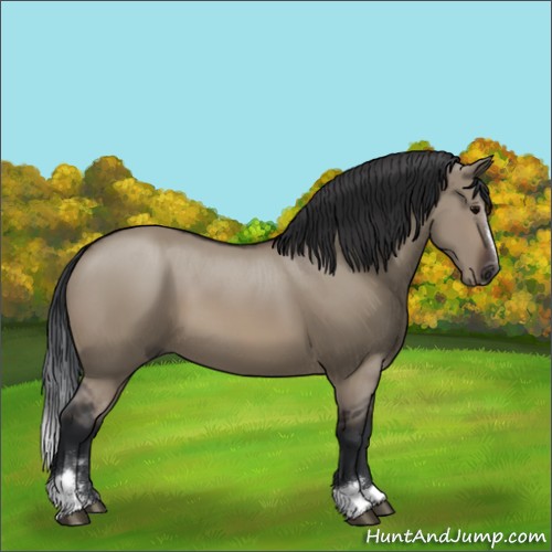 Horse Color:Brown Dun Sabino