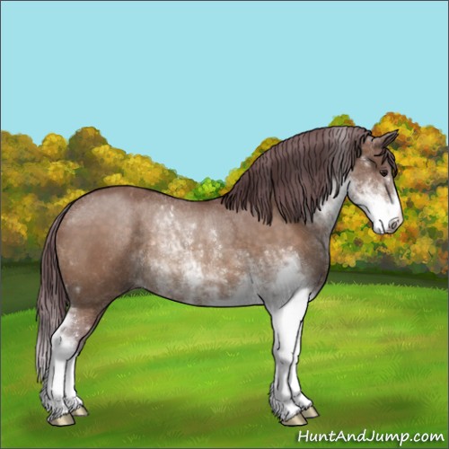 Horse Color:Chocolate Brown Dun Sabino Rabicano
