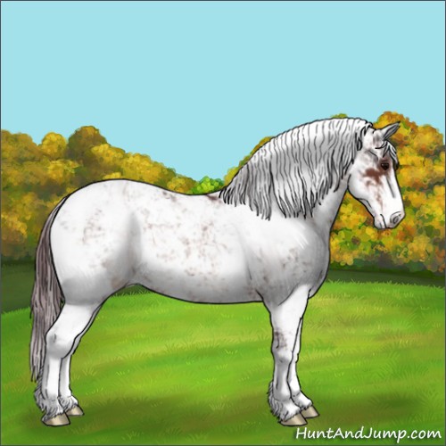 Horse Color:Chocolate Brown Sabino