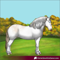 Horse Color:White Spotted Chocolate Perlino Dun Sabino Rabicano 