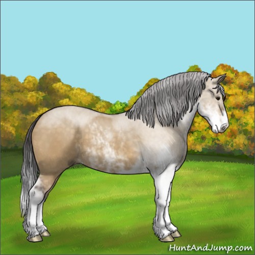 Horse Color:Buckskin Dun Sabino
