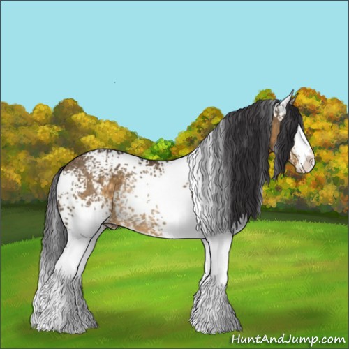 Horse Color:White Spotted Buckskin Dun Sabino Rabicano 