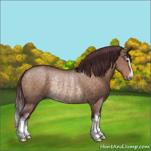Horse Color:Chocolate Brown Dun Sabino Rabicano