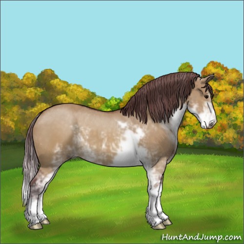 Horse Color:Chocolate Buckskin Dun Sabino 