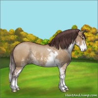 Horse Color:Chocolate Buckskin Dun Sabino