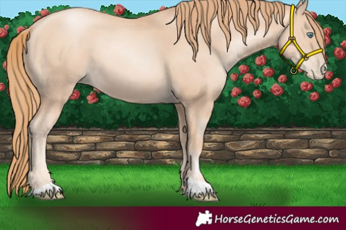 Horse Color:Gold Champagne Pearl 