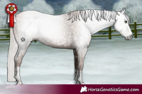Horse Color:Gray Silver Black Pearl 