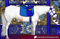 Horse Color:Gray Buckskin Splash Tobiano 