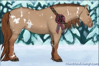 Horse Color:White Spotted Red Dun Varnish