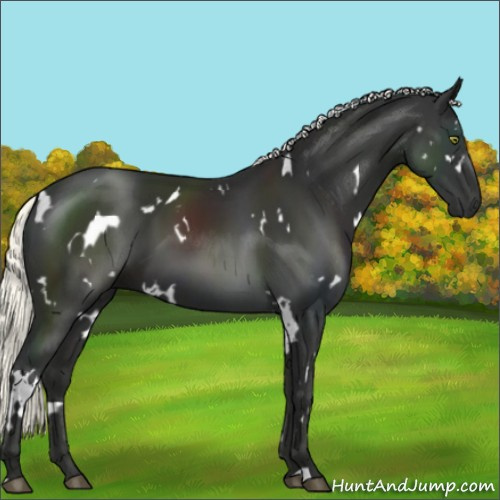 Horse Color:White Spotted Liver Chestnut Mushroom
